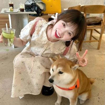 荒江女侠